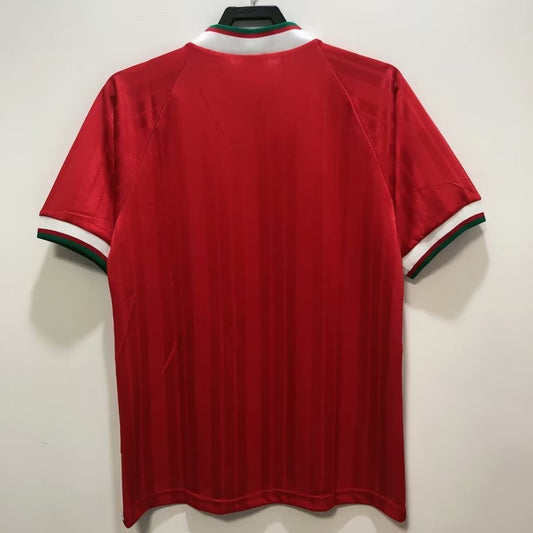 Liverpool 1993/95 Home Retro Jersey - back view
