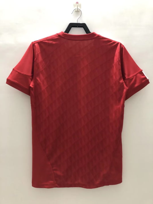 Liverpool 2010 Home Retro Jersey - back view