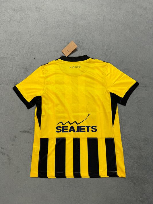 AEK Athens 2025/26 Home Men Jersey [KF-002]
