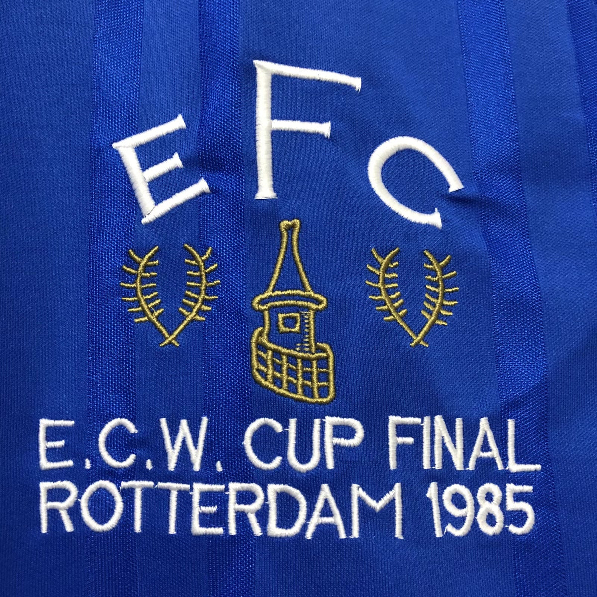 Everton 1985 Home Retro Jersey - detail view