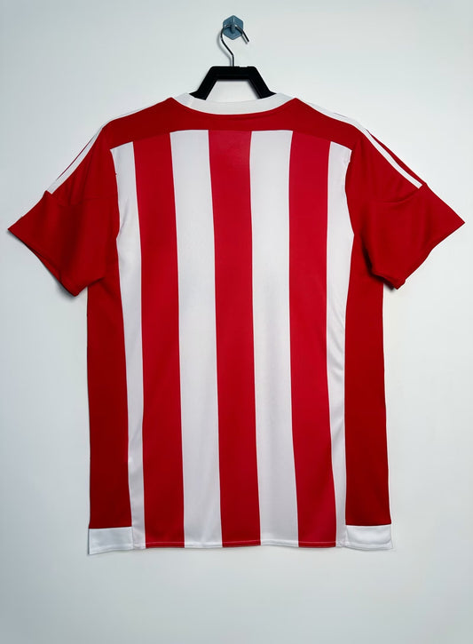 Southampton 2015/16 Home Retro Jersey - back view